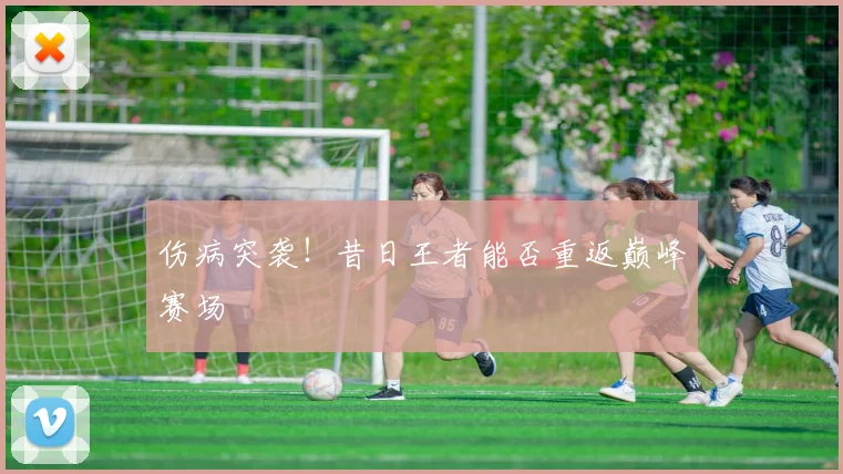 伤病突袭！昔日王者能否重返巅峰赛场